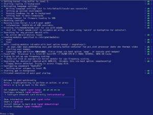 Abbildung 4: Per Default wirft Grml den Admin auf ein textbasiertes Terminal.
