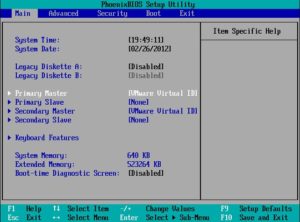 Abbildung 4: Einen Teil des Setups erledigen Sie über das virtuelle Phoenix-BIOS im gestarteten VMware-Gast.