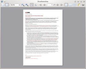 Abbildung 4: Über die Druckvorschau erhalten Sie eine Überblick über das, was Sie auf Papier erhalten.