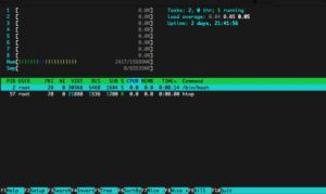 Abbildung 1: Im Container zeigt Htop eine deutlich verkürzte Prozessliste …