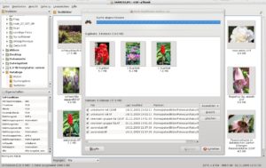 Abbildung 11: Der Bildbetrachter GThumb kombiniert Bilder zu Katalogen, sucht nach Duplikaten und zeigt die Exif-Tags direkt im Hauptfenster an.