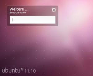 Abbildung 7: Mit zwei zusätzlichen Zeilen in der LightDM-Konfiguration verrät der Begrüßungsbildschirm nicht länger, welche Accounts auf dem System existieren.