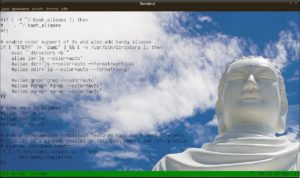 Abbildung 1: Ein Statusbalken samt Reiter für geöffnete Fenster, so präsentiert sich Ihnen Tmux beim ersten Start.