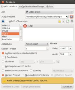 Abbildung 8: Meldet Kdenlive wie hier beim gewählten Format <code srcset=