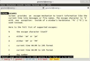 Abbildung 1: Mit ein paar Handgriffen formatieren Sie die Statuszeile von "screen" so, dass sie den Rechner- und Benutzernamen, die aktuelle Uhrzeit und das Datum sowie farblich hervorgehobene virtuelle Terminals anzeigt.