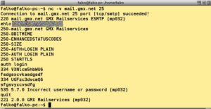 Abbildung 1: Netcat bei der Fehlerdiagnose.
