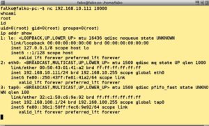 Abbildung 2: Kleiner Befehl, große Wirkung: Selbst eine primitive Backdoor mit Netcat liefert zahlreiche Informationen über einen Rechner.
