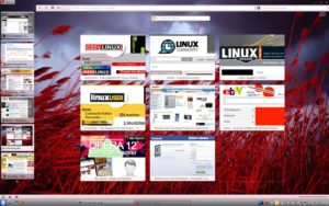 Abbildung 3: Mit einem Theme und aktivierten visuellen Tabs sieht Opera gleich ganz anders aus.