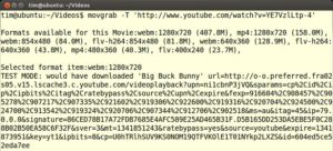 Abbildung 2: Den Film "Big Buck Bunny" bietet Youtube in gleich acht verschiedenen Formaten und Auflösungen an.