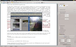 Abbildung 3: Im Text eingefügte Bilder beeinflussen schon beim Platzieren sichtbar das Verhalten beim Umfließen.