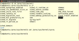 Abbildung 1: Die Tastenkombinationen funktionieren, wenn wie hier unter Ubuntu die Datei <code srcset=