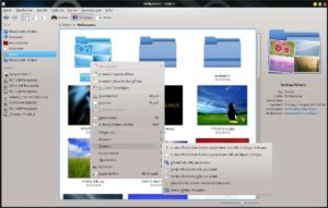 Abbildung 14: Dolphin unterstützt via Erweiterung auch die direkte Interaktion mit Ihrer DropBox.