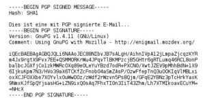 Abbildung 2: So sieht der Signaturblock einer mit PGP signierten Nachricht aus. Sie sehen ihn, wenn Sie den Quelltext der Nachricht betrachten.