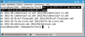 Abbildung 5: Stellen Sie kritischen Kommandos ein "echo" voran, zeigt die Shell die Aktionen an, die sie ohne "echo" ausführen würde.