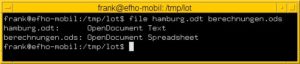 Abbildung 2: File erkennt den Typ des Dokuments – Text oder Tabelle.