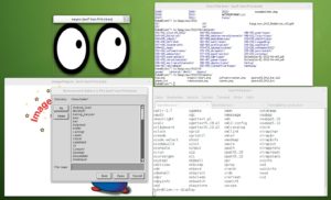 Abbildung 2: Das X-Forwarding funktioniert auch von Linux zu OS X, wenn dort ein SSH-Server läuft. Hier zeigt der OpenSuse-Desktop die Programme Xeyes, Display (aus dem ImageMagick-Paket) und ein Xterm, die auf dem OS-X-Rechner namens "lion" laufen.