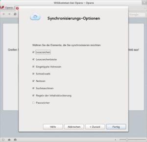Abbildung 22: Bei der Einrichtung entscheiden Sie, welche Einstellungen Opera synchronisiert und in der Opera-Link-Cloud speichert.