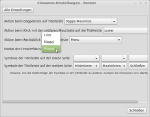 Abbildung 4: Über die Cinnamon-Einstellungen aktivieren Sie das Feature "Focus follows mouse".