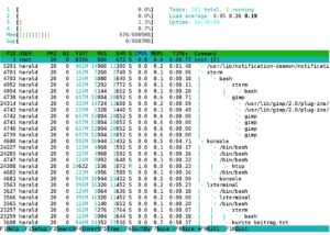 Abbildung 6: Übersichtlich und komfortabel: Htop lässt sich weitgehend über die Cursor- und Funktionstasten bedienen.
