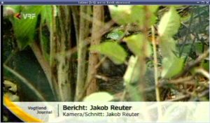 Abbildung 8: Tvtime empfängt analog, hier das Regionalfernsehen Vogtland.