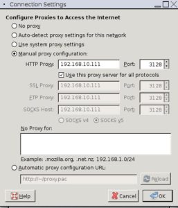 Abbildung 1: Läuft Squid, müssen Sie den Proxy nur noch in der Browserkonfiguration angeben.