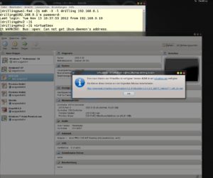 Abbildung 8: So geht's auch: Zugriff auf ein auf dem Server installiertes Virtualbox via SSH.