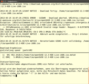 Aria2 mit unterbrochenem Download
