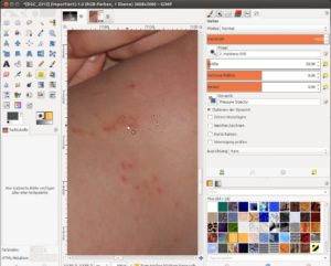 Abbildung 1: Mit Gimp führen Sie kleine Schönheitskorrekturen durch und verhelfen Fotomodellen zu einer porentief reinen Haut. Dabei unterstützt Sie das "Heilen"-Werkzeug.