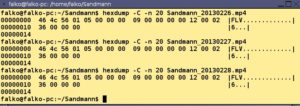 Abbildung 1: Kennt Scalpel Header und Footer eines Dateityps nicht, dann legen Sie in der <code srcset=