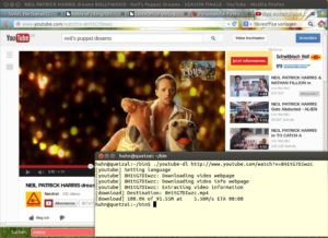 Abbildung 3: Mit dem Python-Programm "youtube-dl" laden Sie bequem Videos von YouTube und anderen Plattformen herunter.