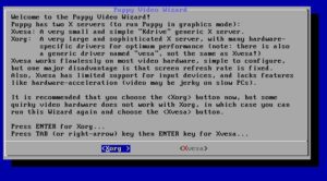 Abbildung 4: Wary Puppy bietet als Alternative den X-Server Xvesa an, der auf den meisten Grafikkarten funktioniert, dafür aber schlechtere Performance als der Standardserver bietet.