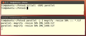 Abbildung 4: Auf das <code srcset=