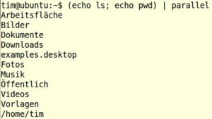 Abbildung 5: GNU Parallel interpretiert hier die Eingaben als Befehle.