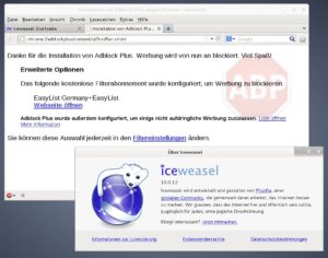 Abbildung 2: Der Browser Iceweasel enthält neben Adblock Plus 2.1 den freien Flashplayer Gnash und den iTunes Application Detector.