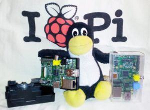 Abbildung 1: Verstehen sich bestens: Tux und der Raspberry Pi in allen Varianten.