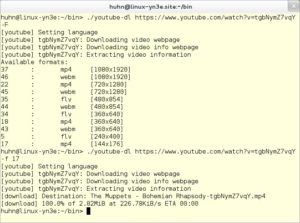 Abbildung 3: Auf Wunsch lädt "youtube-dl" ganz bestimmte Formate von der Videoplattform herunter. Mit "-F" bringen Sie vorhandene Versionen in Erfahrung, und mit "-f" entscheiden Sie sich für eine.
