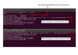 Abbildung 3: Gphoto 2 erkennt hier eine Nikon D70 und eine Nikon D5100, die es jeweils in einem eigenen Terminalfenster bedient. Als Speicherort dienen zwei verschiedene Bildverzeichnisse. Sie enthalten im Beispiel bereits Bilder gleichen Namens, die Gphoto 2 nach Rückfrage löscht.