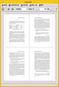 Abbildung 4: Die Darstellung von vier Seiten pro Blatt in einem 2x2-Raster.