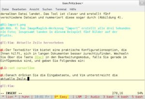 Abbildung 5: Der Texteditor "vim" kann die aktuelle Zeile durch einen Unterstrich hervorheben. So wissen Sie stets, wo Sie tippen oder lesen.