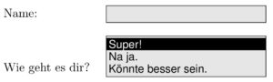 Abbildung 3: Ein einfaches Beispiel für ein Formular mit mehreren Feldern.