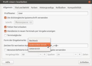 Abbildung 4: Das Gnome-Terminal bietet drei verschiedene Eingabemarken: Rechteck, senkrechter Strich und Unterstrich.