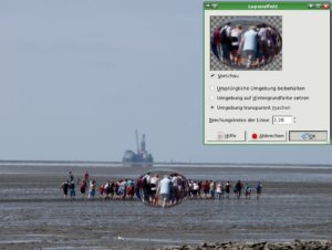 Abbildung 6: Der Lupeneffekt erzeugt realistische Ergebnisse durch das Verschieben von Pixeln. Die Lupe braucht dabei nicht unbedingt kreisrund zu sein.