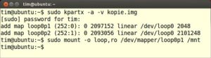 Abbildung 7: Kpartx macht die wiederherstellte, erste Partition über den Gerätenamen <code srcset=
