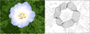 Abbildung 1: Die Inkscape-Zeichnung oben sieht wie eine Bitmap aus. Doch sie basiert ausschließlich auf auflösungsunabhängigen und mit den Inkscape-Kurvenwerkzeugen editierbaren Vektorkurven (unten).