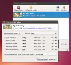 Abbildung 1: Der 4K Video Downloader ist einfach zu bedienen, nervt aber mit Werbung.