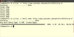 Abbildung 2: Sie bedienen Cclive über teils sehr kryptische Befehle. Dafür integriert sich das Werkzeug sehr gut in Skripte.