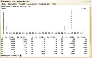 Abbildung 3: Eine stündliche Übersicht mit Vnstat mit einem Peak beim Daten-Empfang zwischen 15 und 16 Uhr.