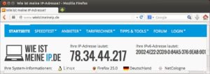Abbildung 5: Praktisch und leicht zu merken – wieistmeineip.de zeigt Ihnen stets die aktuelle IP-Adresse an.