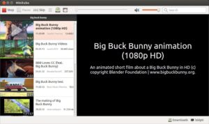 Abbildung 5: Minitube dient eigentlich als Abspielprogramm für Videos von Youtube.