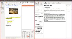 Abbildung 8: RedNotebook wirkt etwas kühler, professioneller und – dank der Stichwort-Wolken – moderner. Im Gegensatz dazu trumpft Lifeograph mit der Anzeige von farbigem Text, Themes und einem WYSIWYG-nahen Editieren auf.